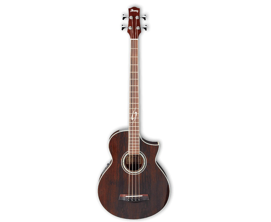 Акустический бас IBANEZ EWB20WNE NT - 4575 за 0 грн. | 4Club